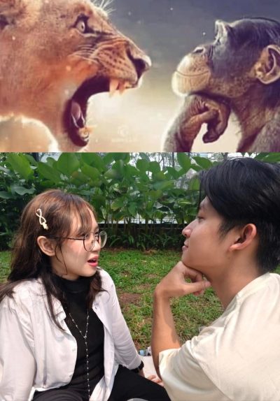 Meme recreate
